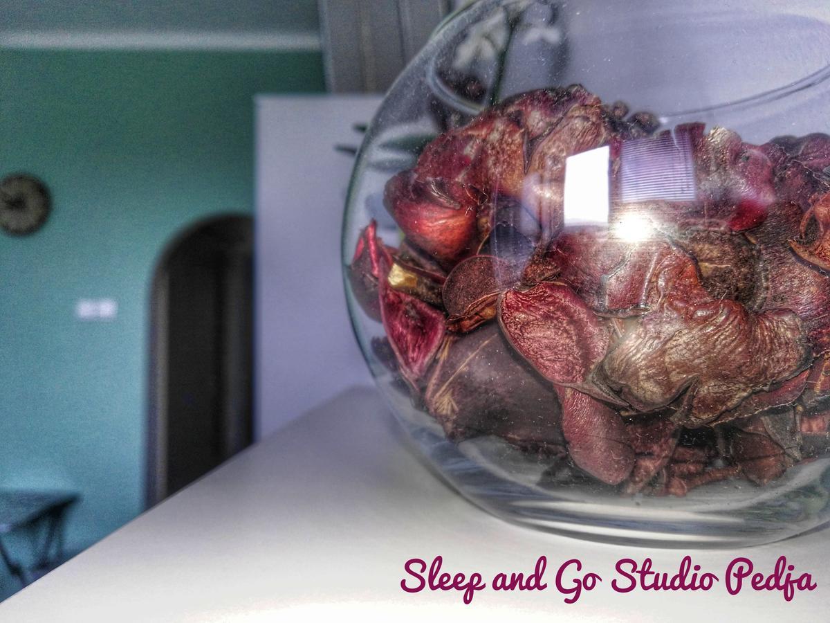 Sleep And Go Pedja Apartment Белград Екстериор снимка