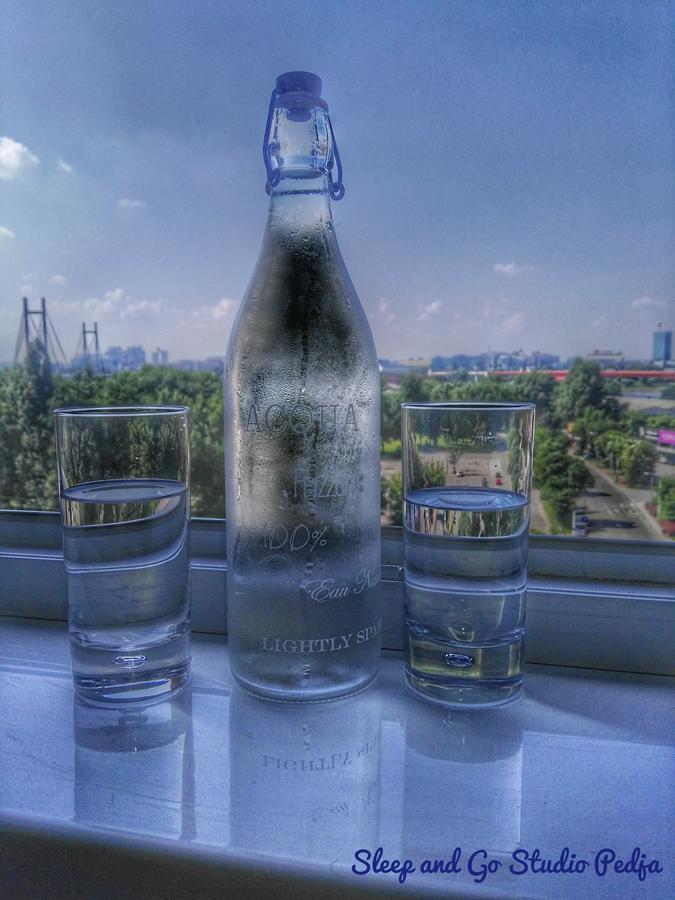Sleep And Go Pedja Apartment Белград Екстериор снимка